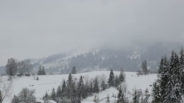 山の冬の風景です。クリスマス ツリーは、雪で覆われています。 — ストック動画