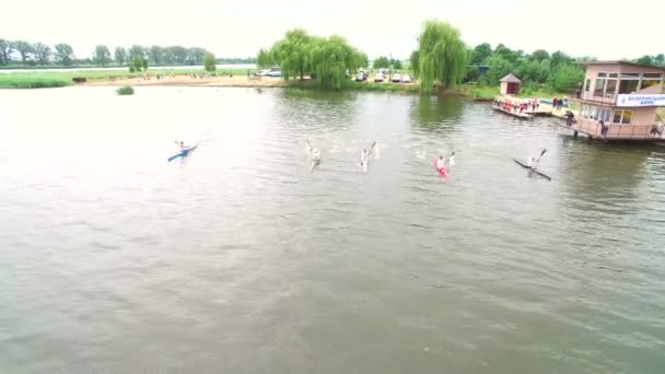 Kajakozáshoz és kenuzáshoz. A kilátás a drone a riveren, úszás sportolók antenna — Stock videók