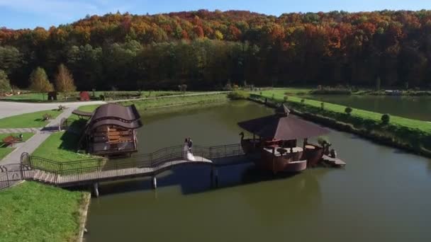 Vista aerea. Le spose felici sono in una giornata di sole su un ponte vicino al lago — Video Stock