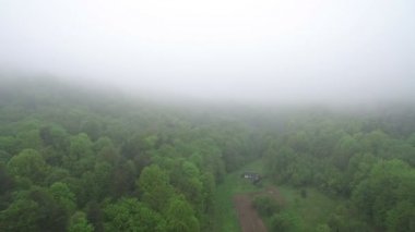 Hava. Drone uçuş sabah sis köyde üzerinde