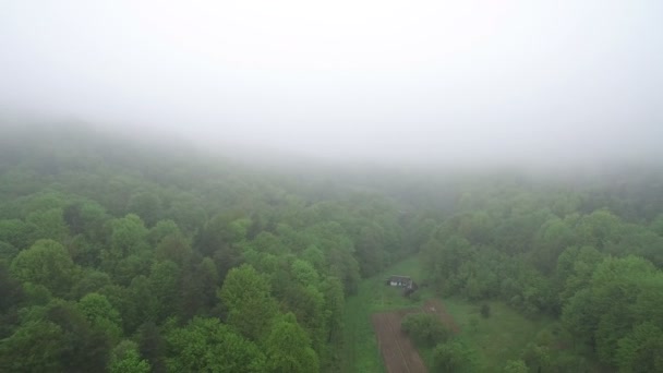 Воздушный. Беспилотник летит над деревней в утреннем тумане — стоковое видео