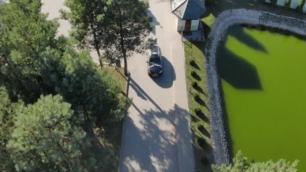 Vue aérienne sur le dessus de la voiture se déplaçant entre les arbres 