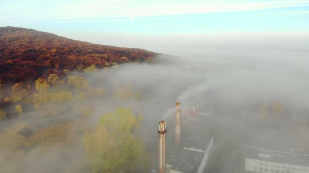 Widok na fabrykę i rury pokryte poranną mgłą. Lot nad Lwowem na Ukrainie. Wspaniały poranek we mgle sfilmowany przez drona — Wideo stockowe