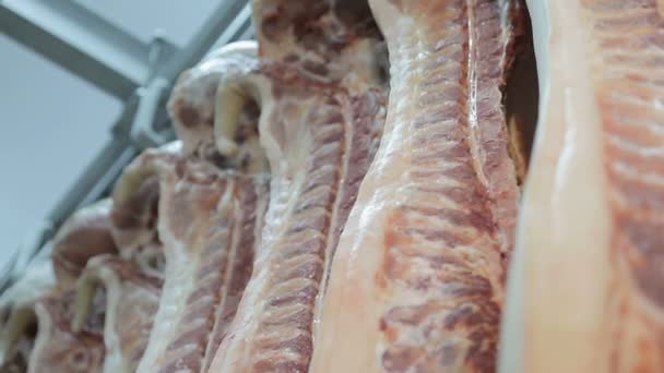 Carcasses de gros plans de porc frais, accrochées à des crochets dans le réfrigérateur. Panorama lent et mouvement de la caméra. Un grand nombre de carcasses de porc dans l'entreprise — Video