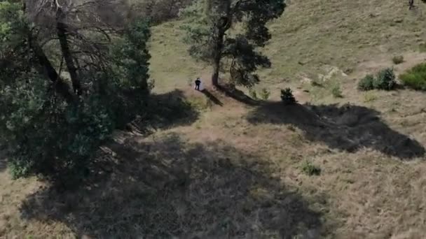 Brides stand side by side near a small cliff between the trees. A good place for two lovers — Stock Video