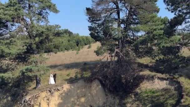 Les mariées se tiennent côte à côte près d'une petite falaise entre les arbres. Un bon endroit pour deux amoureux — Video