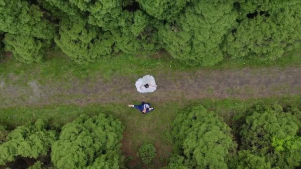 Aerial view Young people on their wedding day dance in a fabulous Park with beautiful trees. The couple dancing in a Park with cedars. The view from the drone — 비디오