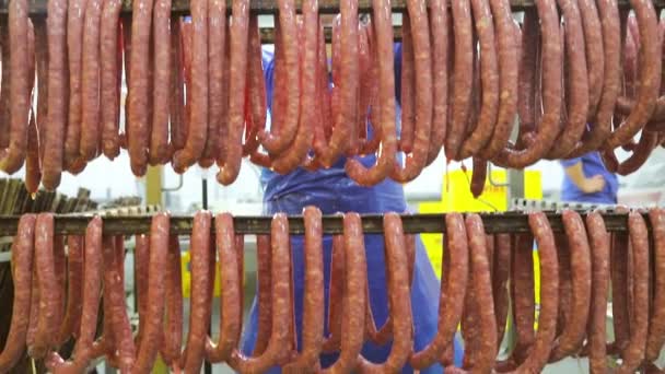 Production of small hunting sausages of wild boars. Workers strung small sausages on the shelves for further cooking in the oven. — Stock Video