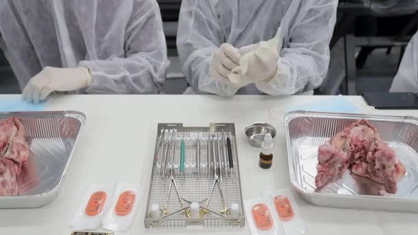 Tandartsen in opleiding dragen rubberen handschoenen voordat ze beginnen met het installeren van tandheelkundige implantaten op de kaken van een varken. — Stockvideo