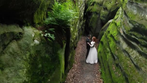 山の中で結婚式緑の苔で覆われた岩の間に立つ新婚夫婦。若いカップルのための居心地の良い場所 — ストック動画