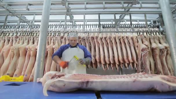 Trabalhador usando uma serra elétrica, corta pedaços de carne de porco. Desossa de carne de porco. Cortar carne em pedaços. Filmado com óptica de grande formato — Vídeo de Stock