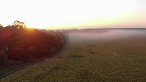 Fält i kvälldimman vid solnedgången. Två nygifta går nära åkern. Rosa solstrålar lyser upp fältet täckt med dimma — Stockvideo