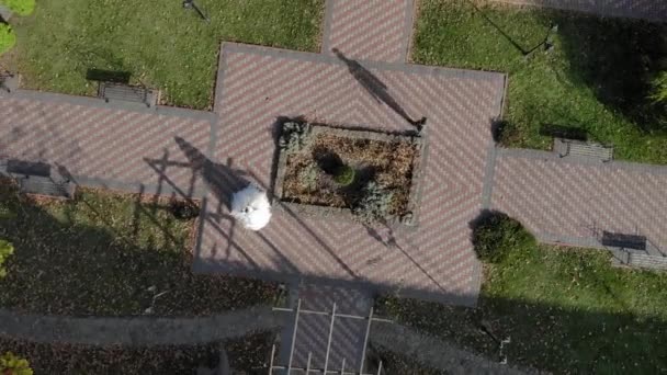 Vue Aérienne Depuis Le Haut De La Mariée Se Promenant Dans Le Parc En Face De L'autre. La vue depuis le drone pour une promenade les jeunes mariés .