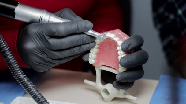 Стоматолог в черных перчатках Крупный план на макете скелета зубов с помощью буровой машины. стоматолог ловко практикует выравнивание передних зубов на плане — стоковое видео