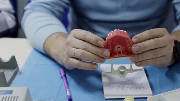 Dişçi bir kişinin çenesinin maketini tutuyor. Bir adam elinde insan dişlerinin bir modelini tutuyor.. — Stok video