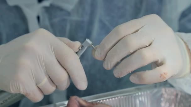 Dentista estagiário, close-up praticando tratamento dentário em um mock-up de um maxilar de porcos. Close-up faz uma incisão ao redor do dente . — Vídeo de Stock