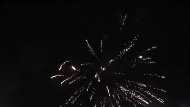 Wonderful beautiful fireworks at night. Fireworks show on a birthday or holiday. — Stock Video