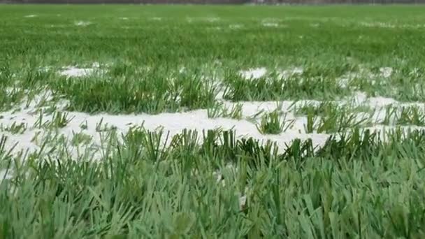 Detailní záběr umělé trávy na fotbalovém hřišti pokrytém pískem. — Stock video