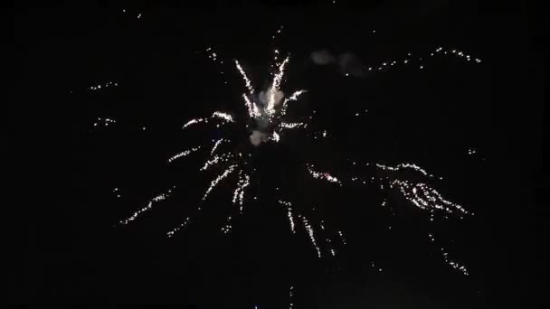 Wunderschönes Feuerwerk in der Nacht. Feuerwerk an einem Geburtstag oder Feiertag. — Stockvideo