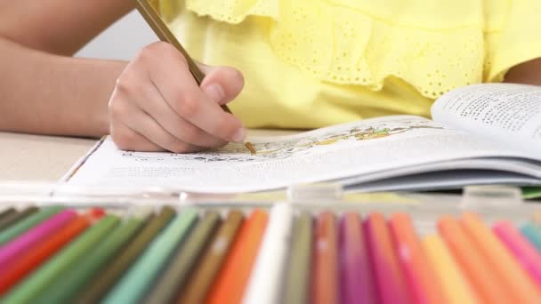 Una ragazza dipinge un libro da colorare. Primo piano di una mano di bambine che tiene una matita e un disegno . — Video Stock