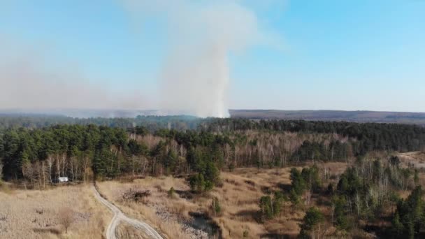 Incendio forestal a gran escala aéreo. Una gran área de bosque está ardiendo. Fuego en el bosque de pinos vista desde la altura. Volando sobre un bosque que arde en un día . — Vídeos de Stock