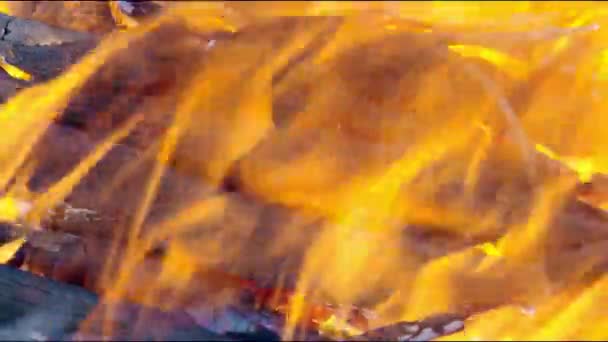 Firewood burning closeup per day. Bonfire coal ignites sparks. Magic quality fire in nature. — Stock Video