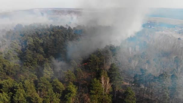 Feu de forêt aérien à grande échelle. Une grande partie de la forêt brûle. Incendie dans la forêt de pins vue de la hauteur. Survoler une forêt qui brûle en un jour .