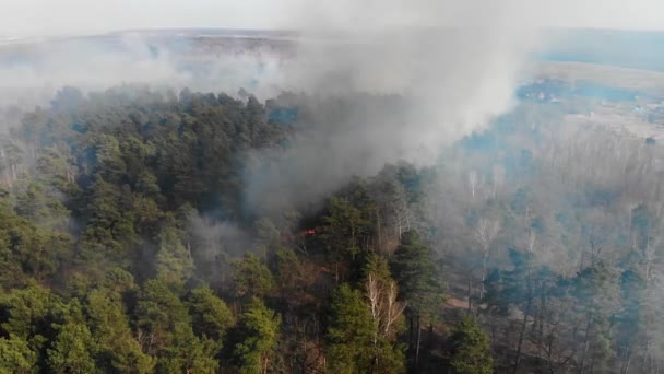 Großflächiger Waldbrand aus der Luft. Ein großes Waldgebiet brennt. Feuer im Kiefernwald aus der Höhe. Fliegen über einen Wald, der an einem Tag brennt. — Stockvideo