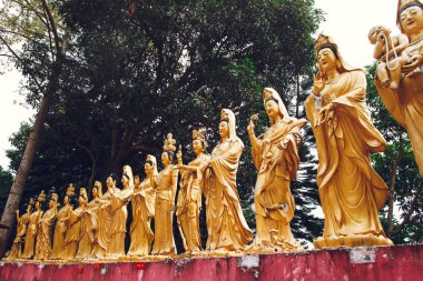 1000 Buda 'nın tapınağına gidiyoruz. Hong Kong