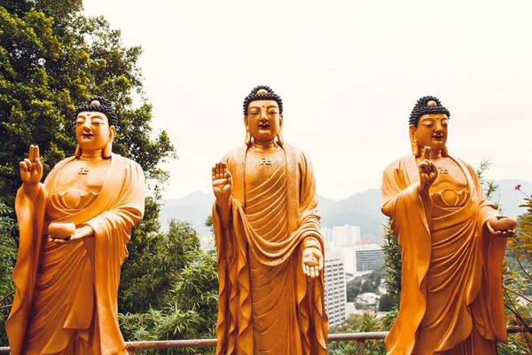 Αγάλματα Του Βούδα Καθ Οδόν Προς Βουνό Χονγκ Κονγκ — Φωτογραφία Αρχείου