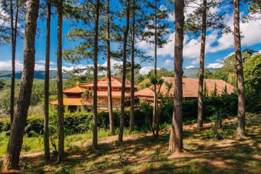 Temple Truk Lam In the forest. Dalat