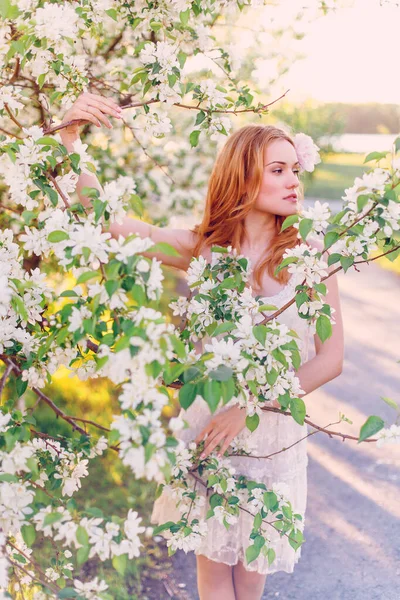 Model Red Hair Posing Blooming Apple Tree — Stock Photo, Image