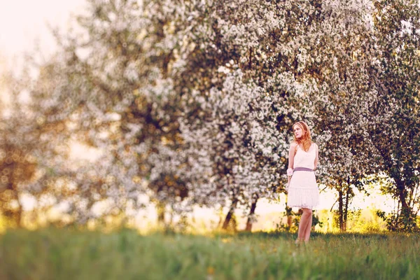 Model Red Hair Posing Blooming Apple Tree — Stock Photo, Image