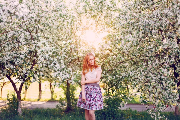 Model Red Hair Posing Blooming Apple Tree — Stock Photo, Image