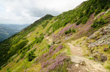 krkonose / Çek Cumhuriyeti'nde karkonosze dağ