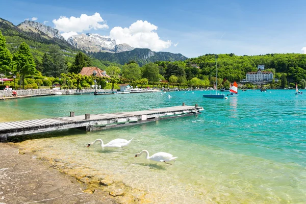 Amazing view on marina with swan on Lake Annecy, France — Stock Photo, Image