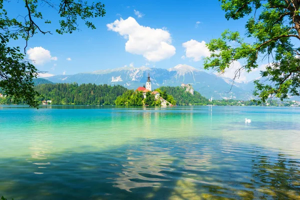 Hermoso lago Bled en Eslovenia durante el verano —  Fotos de Stock