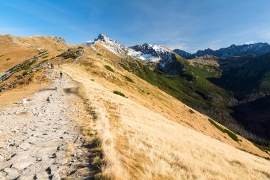 sonbaharda, Polonya Tatra dağ yolunda