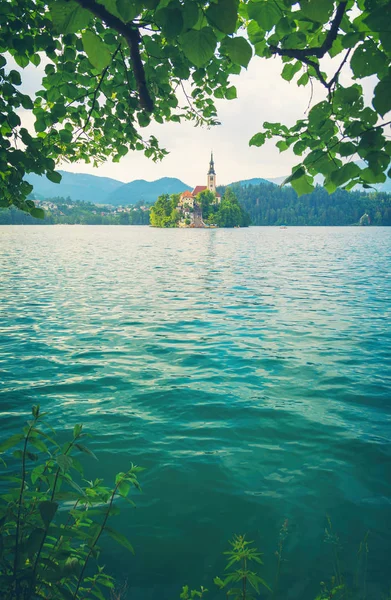 View Lake Bled Slovenia Vintage Style — Stock Photo, Image