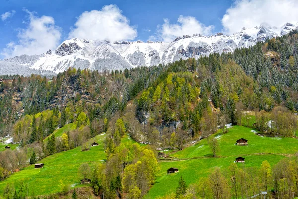 View Swiss Alps Lauterbrunnen Village Jungfrau Region Switzerland — Stock Photo, Image