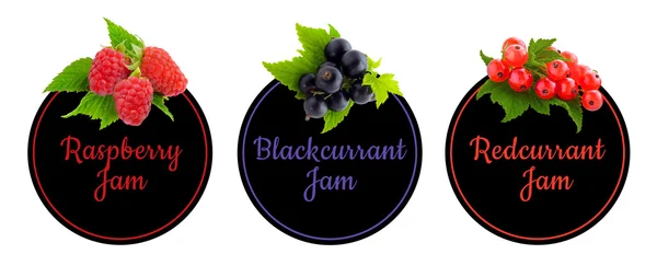 Set de etiquetas para mermelada de frutas. Conjunto de iconos bayas . —  Fotos de Stock