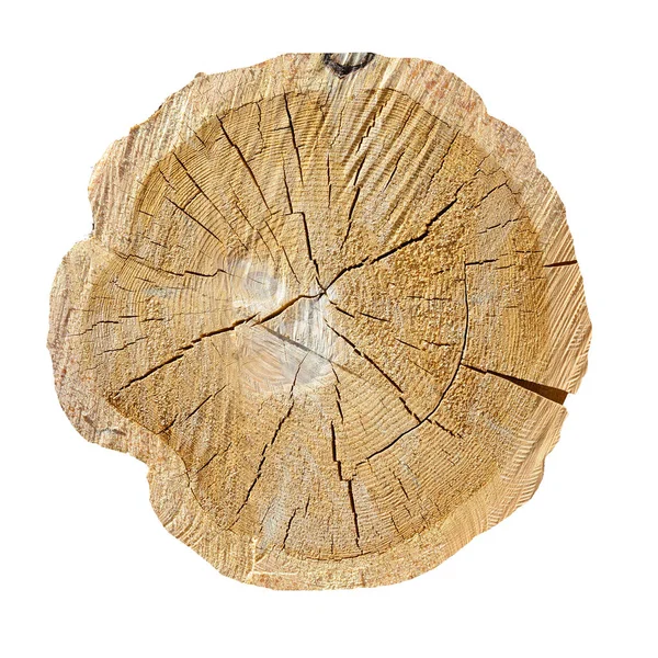 Tree Rings, Log. Wooden texture — Stock Photo, Image