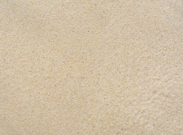 текстура и фон морского песка
