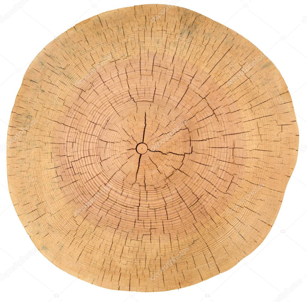 Tree Rings, Wood, log. Wooden texture