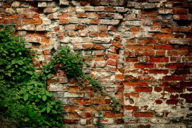 Klasik kırmızı tuğla duvar .