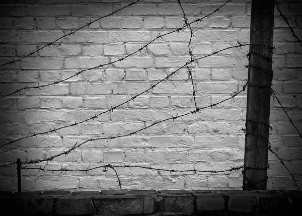 어두운 벽돌 벽에 철 — 스톡 사진