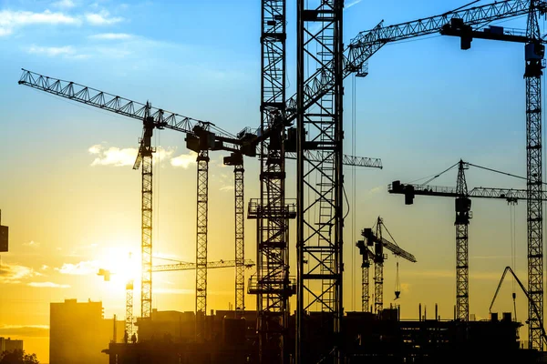 Gün batımında birçok Vinçler siluetleri.