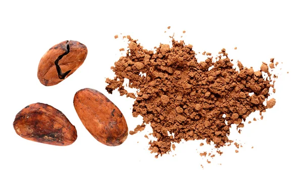Granos de cacao cacao en polvo aislado en blanco —  Fotos de Stock