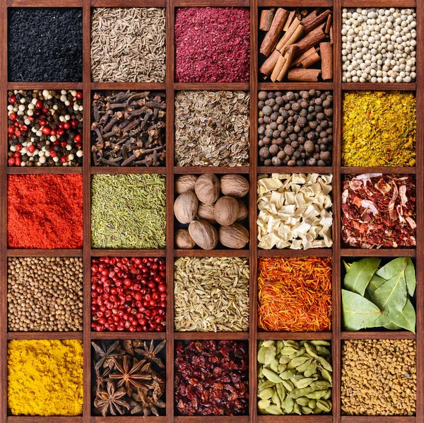 Colorful spice background. — Stock Photo, Image