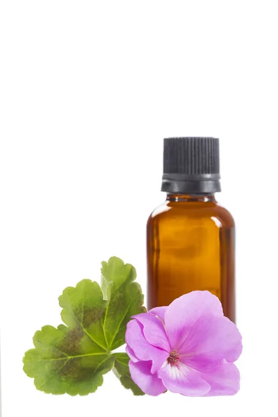 Essentiële geranium olie in fles en bloemen — Stockfoto